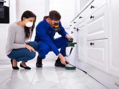 About Melvindale Integrated Pest Management - integrated pest management experts in Melvindale